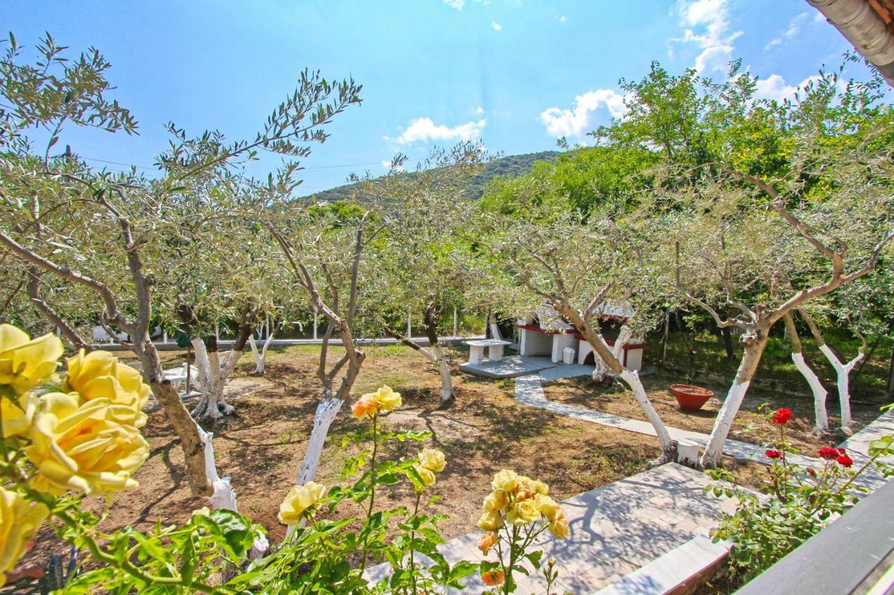 Willa The House Of Olive Trees Nea Iraklitsa Zewnętrze zdjęcie